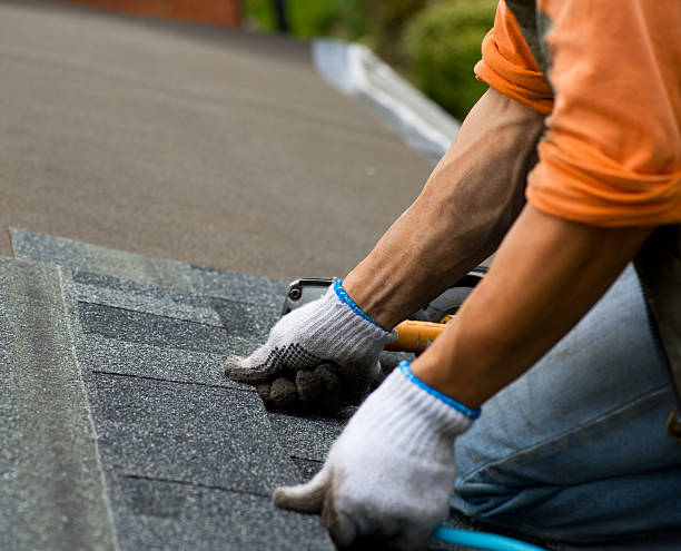 Best Roof Gutter Cleaning  in Charlestown, MD